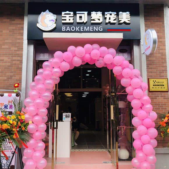 宝可梦宠美:成都市成华区财富又一城附近