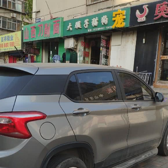 大璇子猫狗:石家庄市桥西区益友百货/西里附近