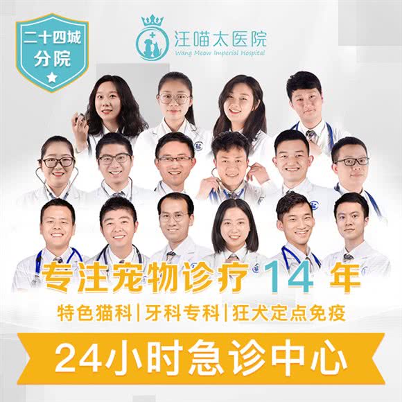 汪喵太医院(二十四城分院):成都市成华区塔子山公园附近
