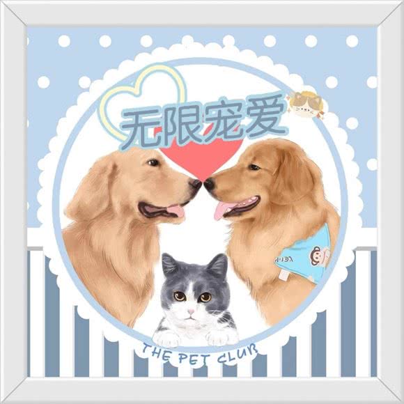 布娃娃狗狗宠物生活馆:成都市龙泉驿区川师成龙校区附近