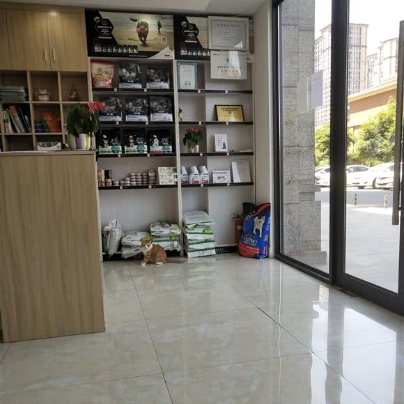 金桉宠物医院:成都市龙泉驿区川师成龙校区附近