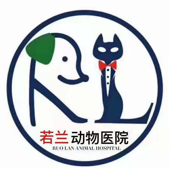 若兰动物医院(桥西店):石家庄市桥西区益友百货/西里附近