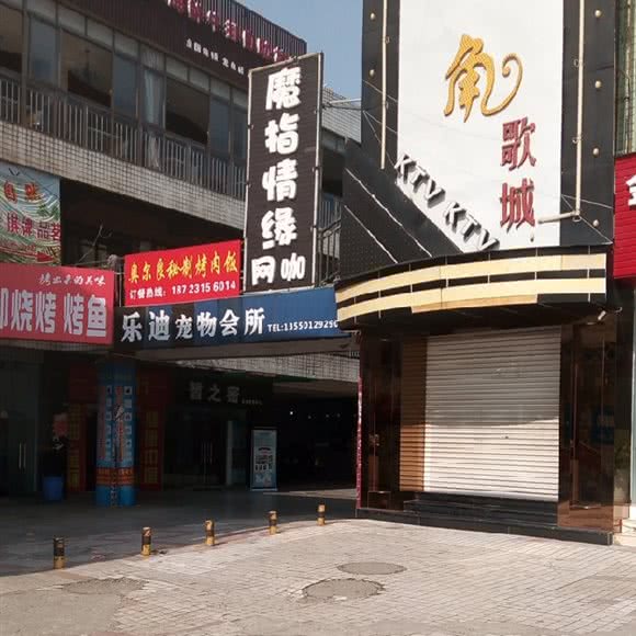 乐迪宠物会所:成都市龙泉驿区阳光城附近