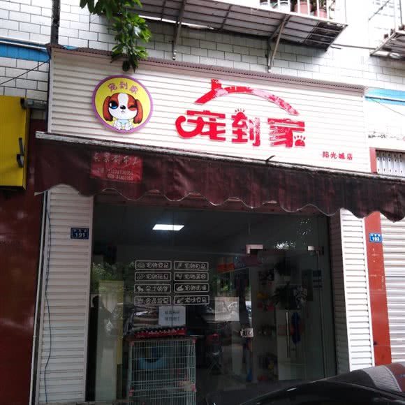宠到家:成都市龙泉驿区阳光城附近