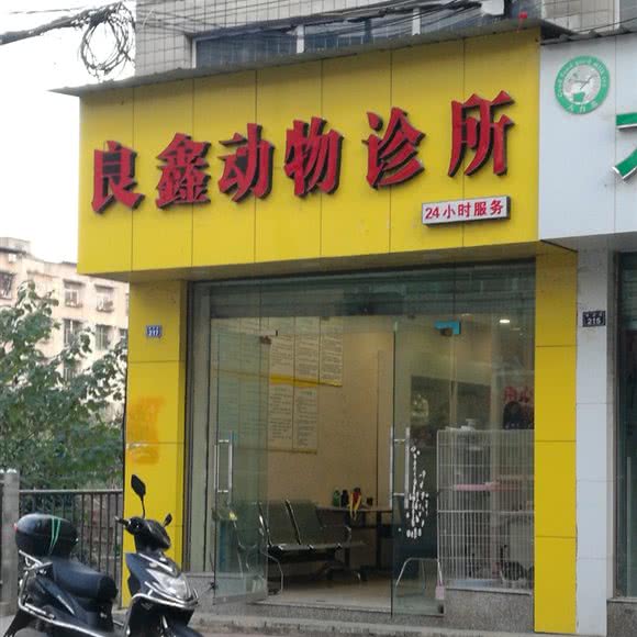 良鑫动物诊所:成都市龙泉驿区阳光城附近