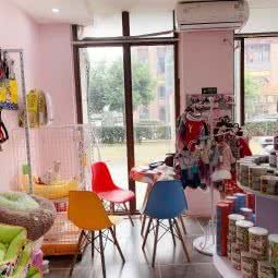 小尾巴汪喵星球:成都市龙泉驿区洪河/半边街附近