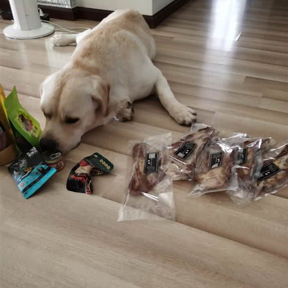 咪狗宠物生活馆(万宇路店):成都市龙泉驿区洪河/半边街附近