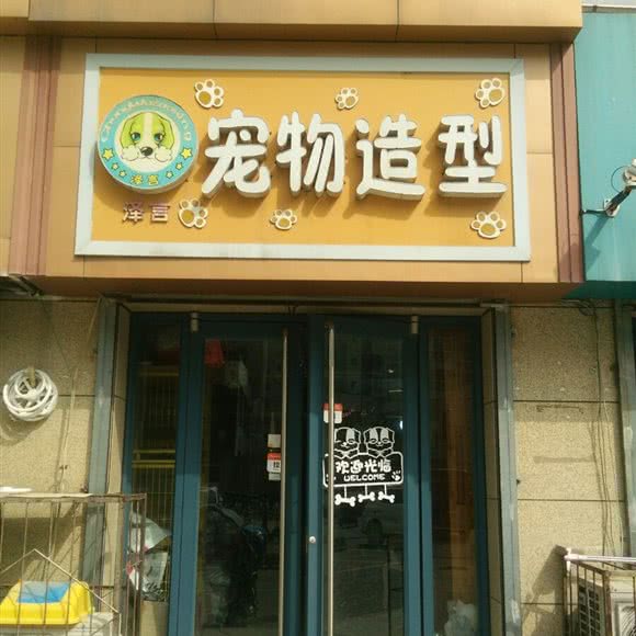 泽言宠物造型:石家庄市桥西区友谊公园附近