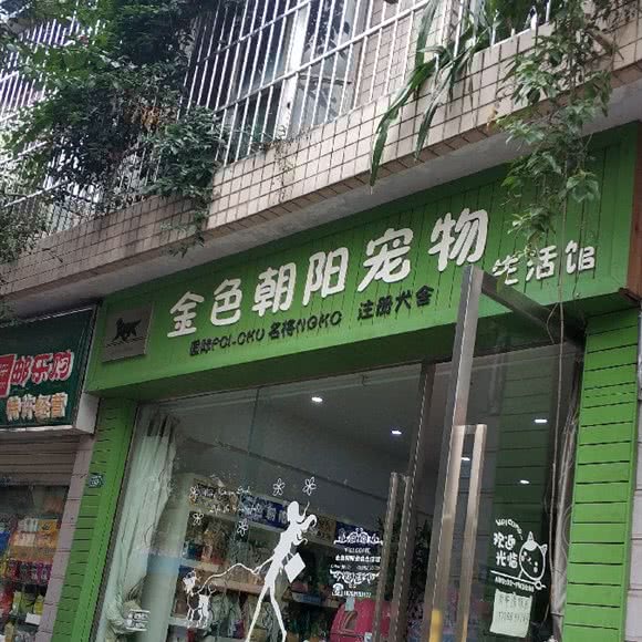 金色朝阳宠物生活馆:成都市龙泉驿区建材路附近