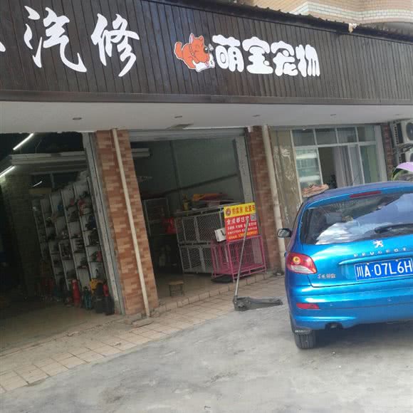 萌宝宠物:成都市龙泉驿区建材路附近