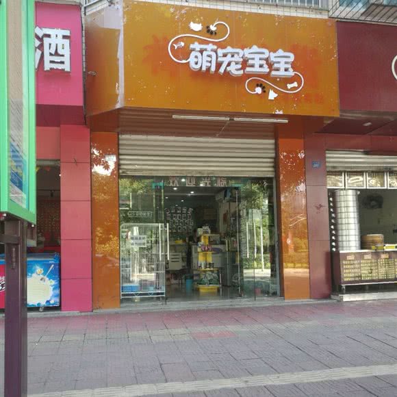 萌宠宝宝:成都市龙泉驿区北泉路附近