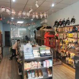 派达星宠物馆:成都市龙泉驿区十陵镇附近