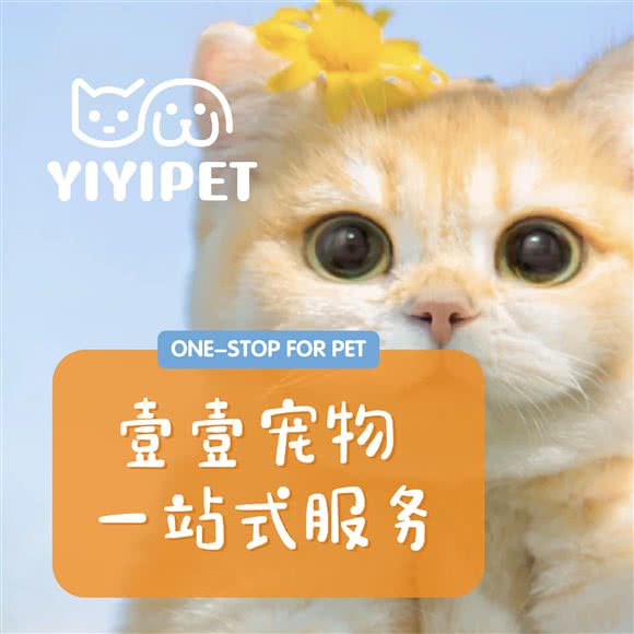 壹壹宠物生活馆:成都市龙泉驿区十陵镇附近