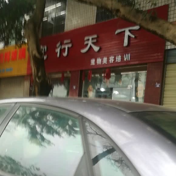 宠行天下:成都市龙泉驿区十陵镇附近