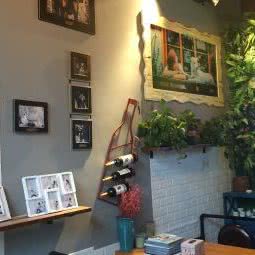 宠乐哆宠物摄影:成都市龙泉驿区十陵镇附近