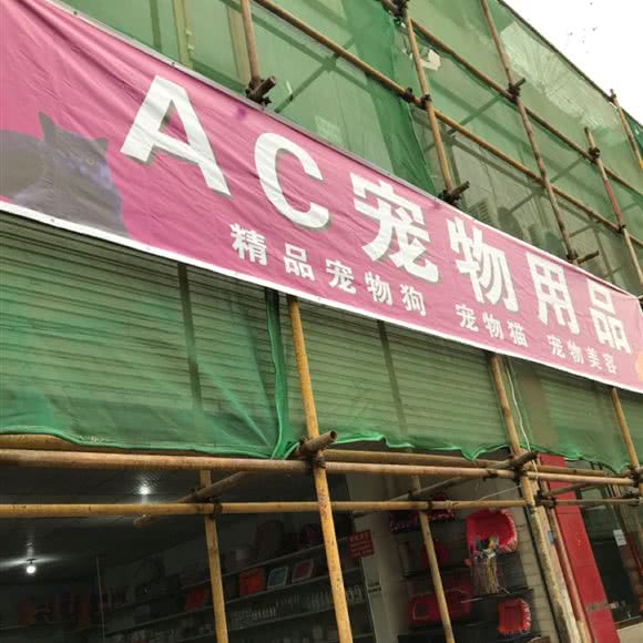 AC宠物用品宠物美容:成都市龙泉驿区十陵镇附近