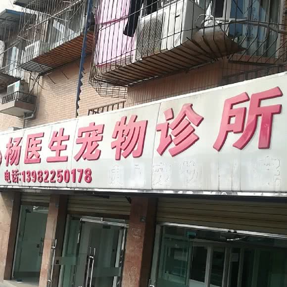 杨医生宠物诊所:成都市龙泉驿区十陵镇附近