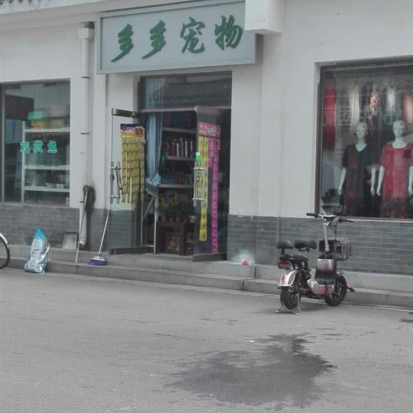 多多宠物(城角街店):石家庄市桥西区中华大街槐安路附近