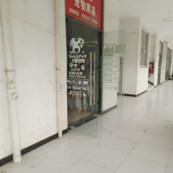 卡蒙宠物用品:成都市龙泉驿区西河镇附近