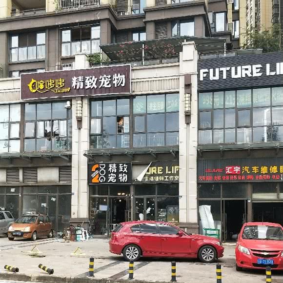 哈哆哆精致宠物:成都市龙泉驿区柏合镇附近