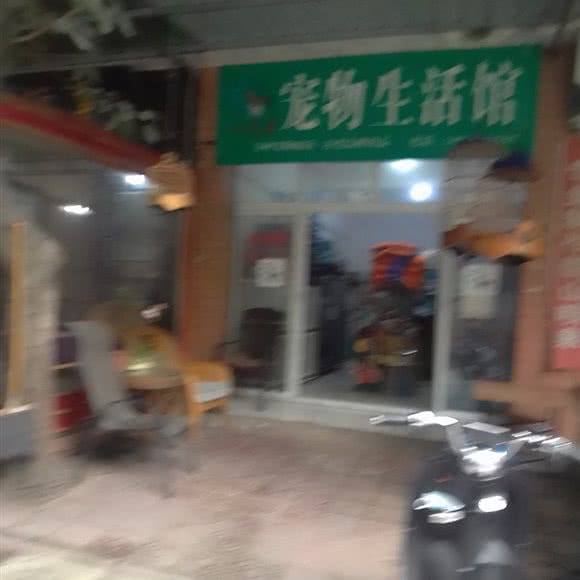 小兄弟宠物生活馆:成都市青白江区青白江区附近