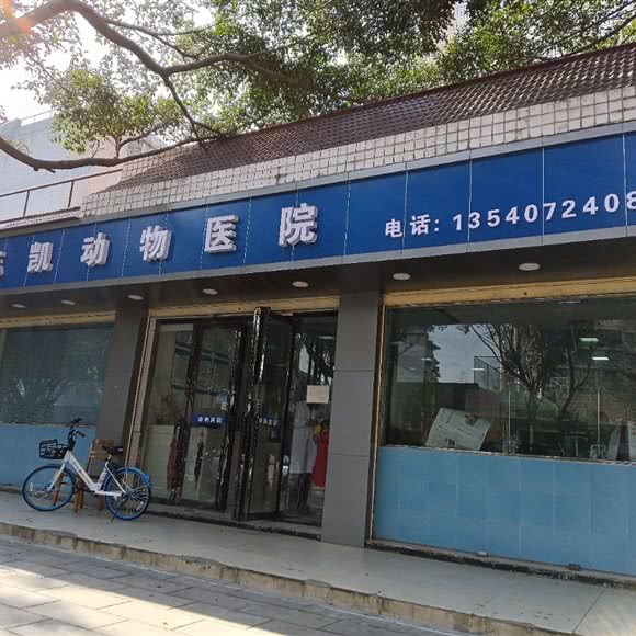 志凯动物医院:成都市青白江区青白江区附近