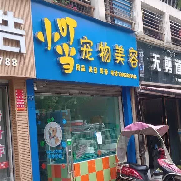 小叮当宠物美容:成都市新都区新都镇附近