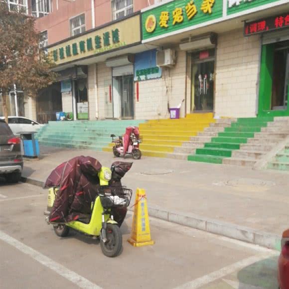 爱宠当家:石家庄市桥西区时光街附近