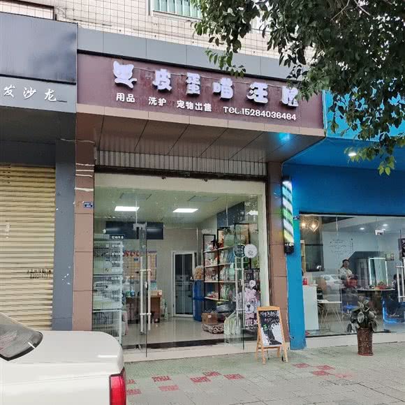 皮蛋喵汪屋:成都市新都区新都镇附近
