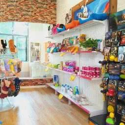 哼哼先生宠物生活馆:成都市温江区万春镇附近