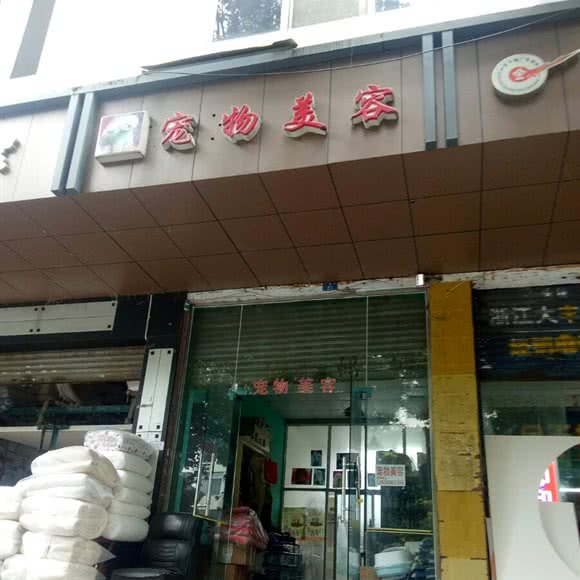 宠物美容:成都市温江区万春镇附近