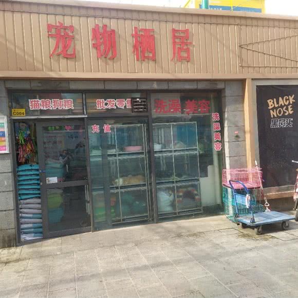宠物栖居:石家庄市桥西区欧韵公园附近