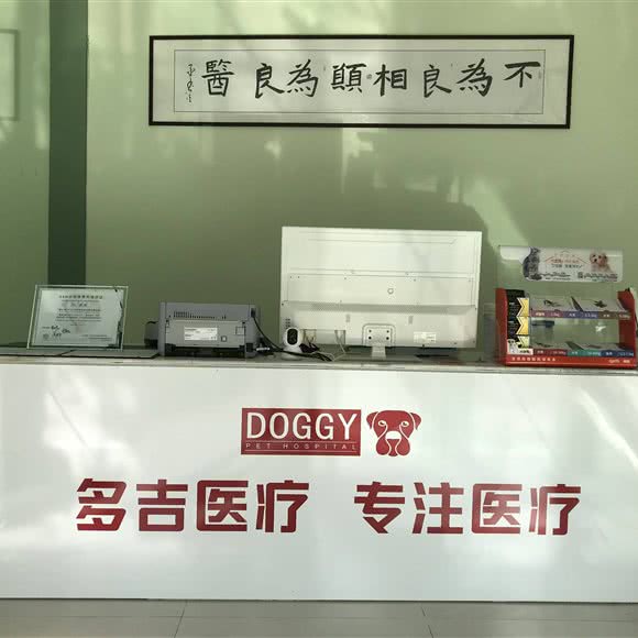 多吉动物医院24小时:成都市温江区公平街道附近