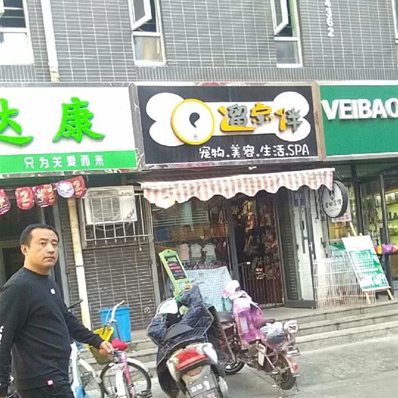 遛点伴宠物美容生活SPA:石家庄市桥西区欧韵公园附近