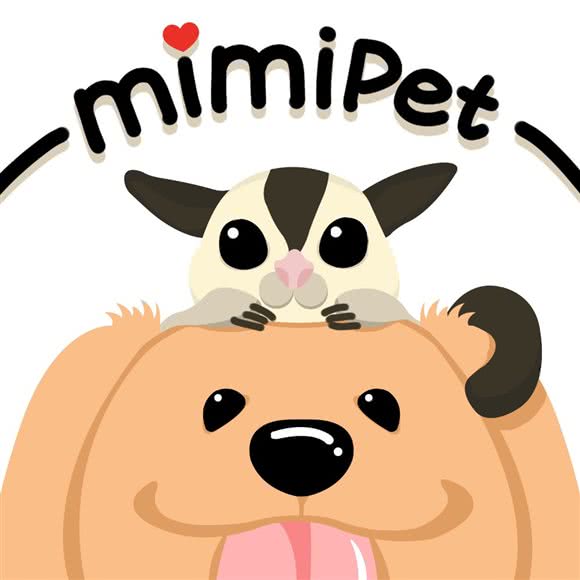 MIMIPET蜜袋鼯:成都市双流区华阳镇街道附近