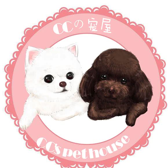 ccの宠屋:成都市双流区华阳镇街道附近