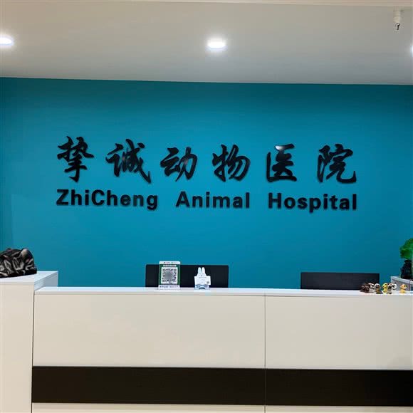 挚诚动物医院:石家庄市桥西区欧韵公园附近