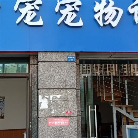 圣宠宠物诊所:成都市双流区华阳镇街道附近