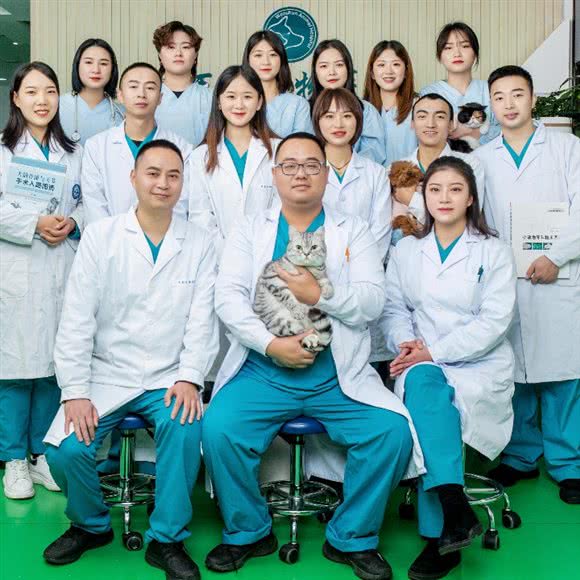 万顺宠物医院:成都市双流区华阳镇街道附近