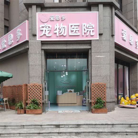 IMDog爱恩多宠物医院(天府分院):成都市双流区华阳镇街道附近
