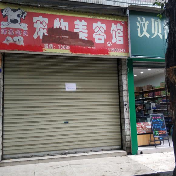 漂亮宝贝宠物美容馆:成都市新津区新津区附近