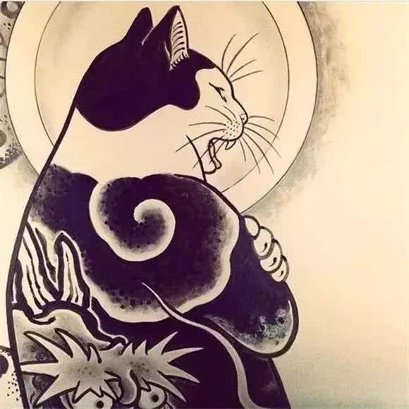 一群猫的老大:石家庄市桥西区华夏家园附近