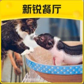 神奇动物园?宠物酒店乐园:北京城区朝阳区青年路附近