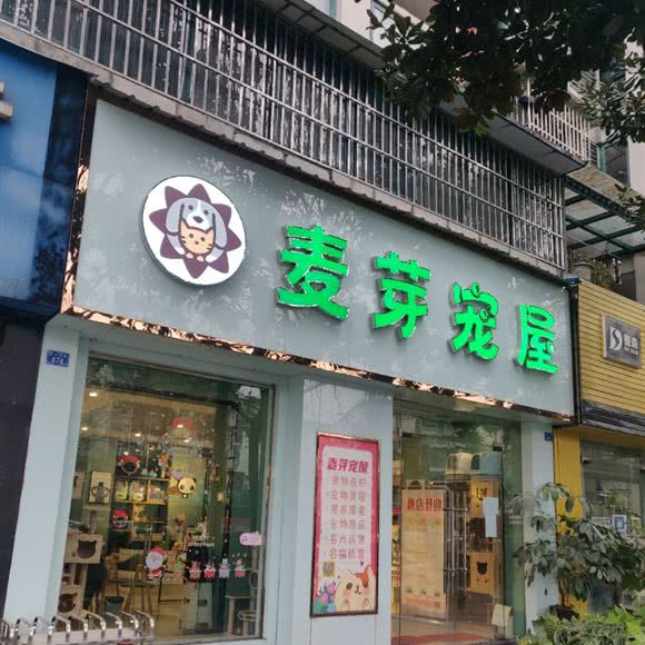 麦芽宠屋:成都市都江堰市滨江街道附近