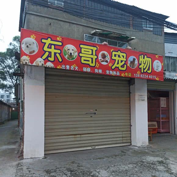 东哥宠物:成都市彭州市天彭镇附近