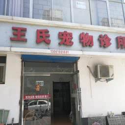 王氏宠物诊所:石家庄市桥西区新石北路附近