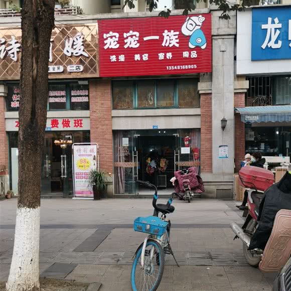 宠宠一族:成都市邛崃市邛崃市附近