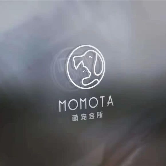 MOMOTA 喵语猫咖 萌宠会所:成都市崇州市崇州市附近