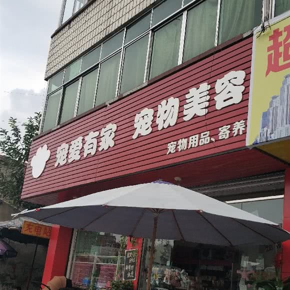 宠爱有家宠物美容店:成都市崇州市崇州市附近
