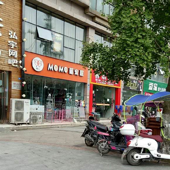 MOMO萌宠屋:成都市崇州市崇州市附近